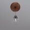 Ekena Millwork Baltimore PVC Ceiling Medallion (Canopies up to 7 3/4"), 19"OD x 3 1/2"ID x 1"P, Bright Coat Copper CMP19BABCO - alternate 10
